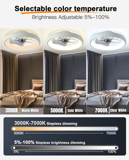 20" Black Ceiling Fan Light