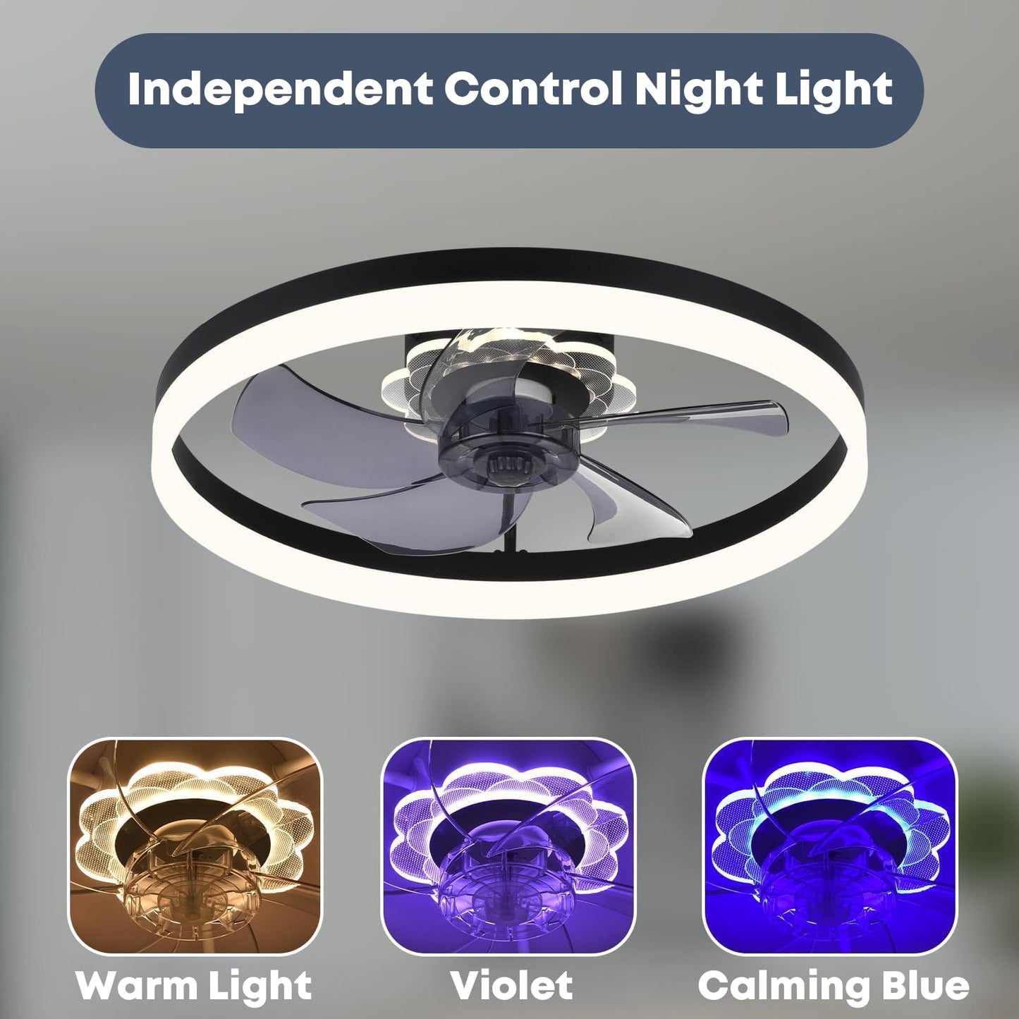 20" Ceiling Fan with Light