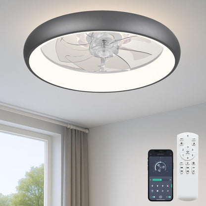 20" Ceiling Fan with Light