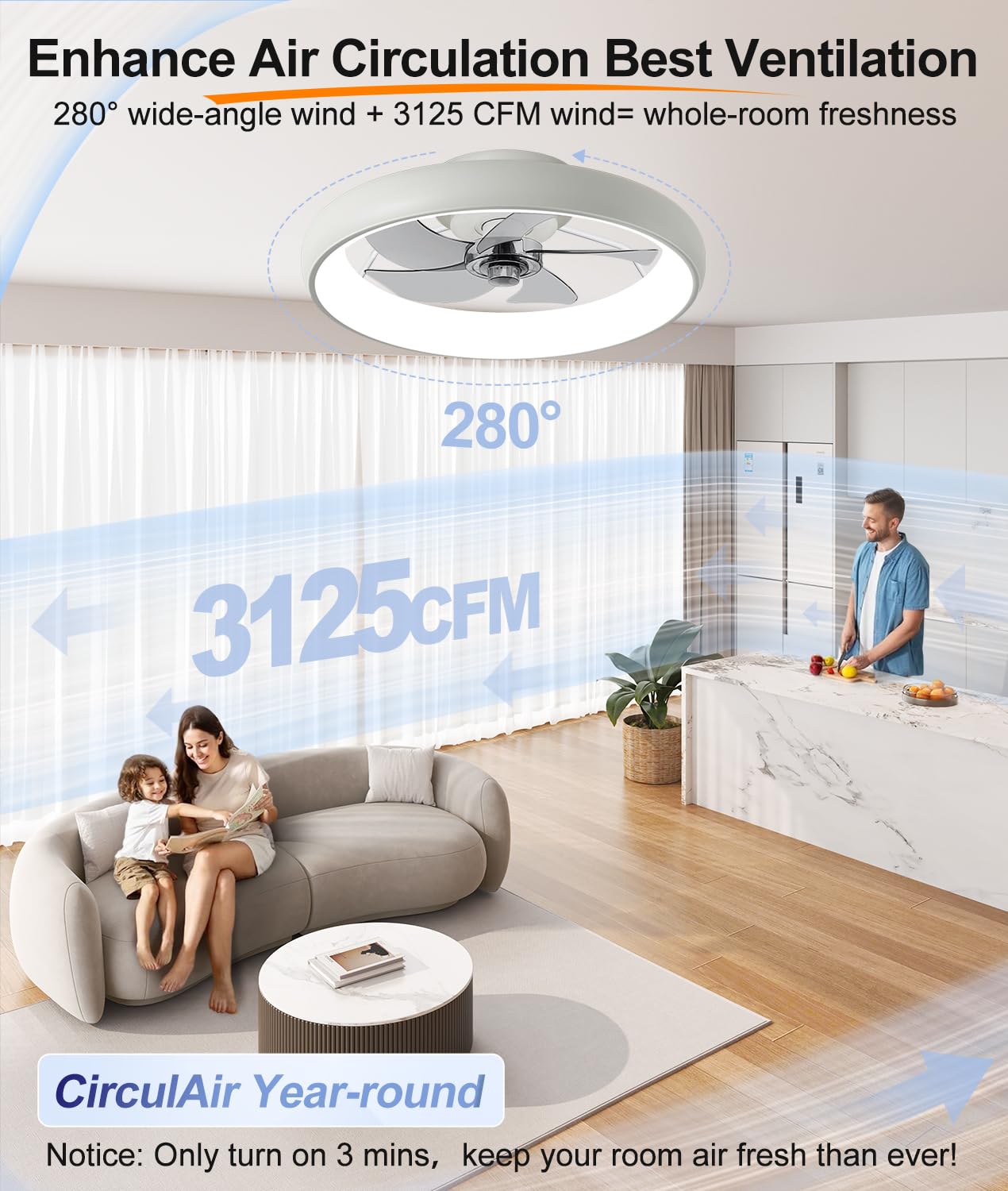 20" Black Ceiling Fan Light