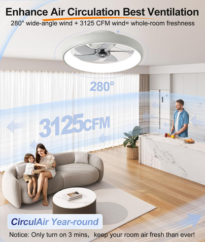 20" Black Ceiling Fan Light