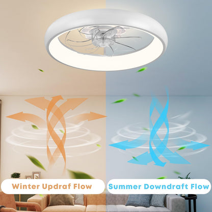 20" Ceiling Fan with Light