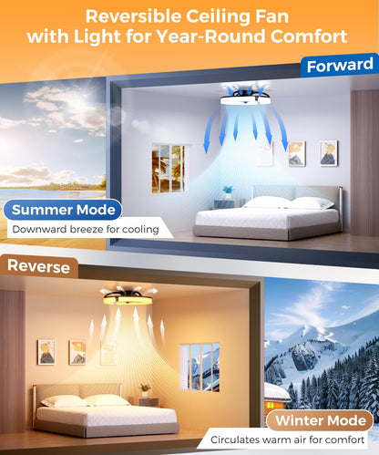 20" LED Ceiling Fan with Remote