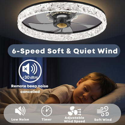 20" Ceiling Fan with Light