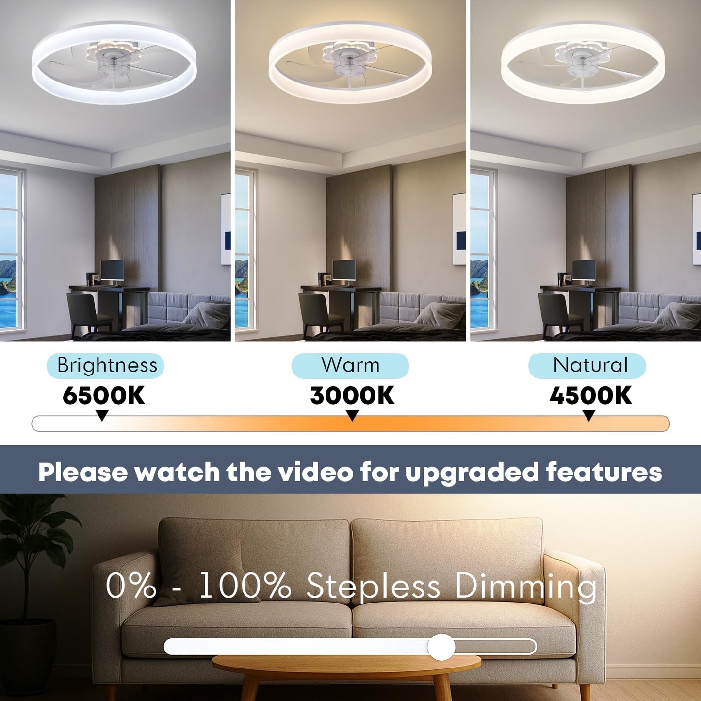 20" Ceiling Fan with Light