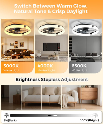 20" LED Ceiling Fan with Remote