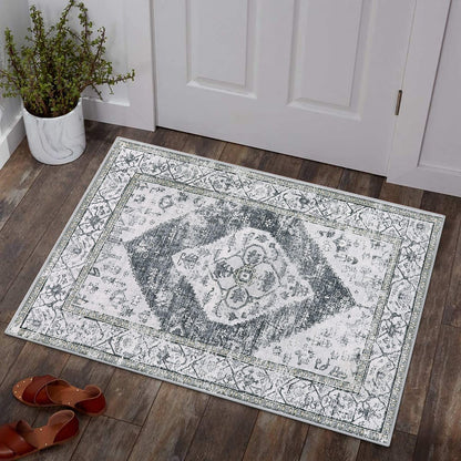 Lahome 9x12 Rug