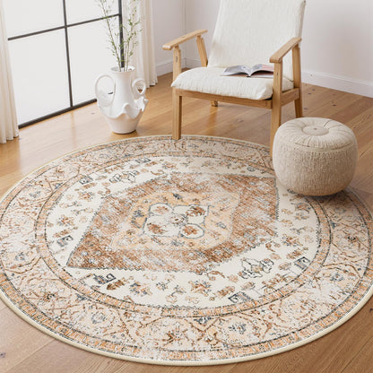 Lahome 9x12 Rug