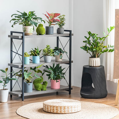 HCHQHS 4-Tier Industrial Bookshelf