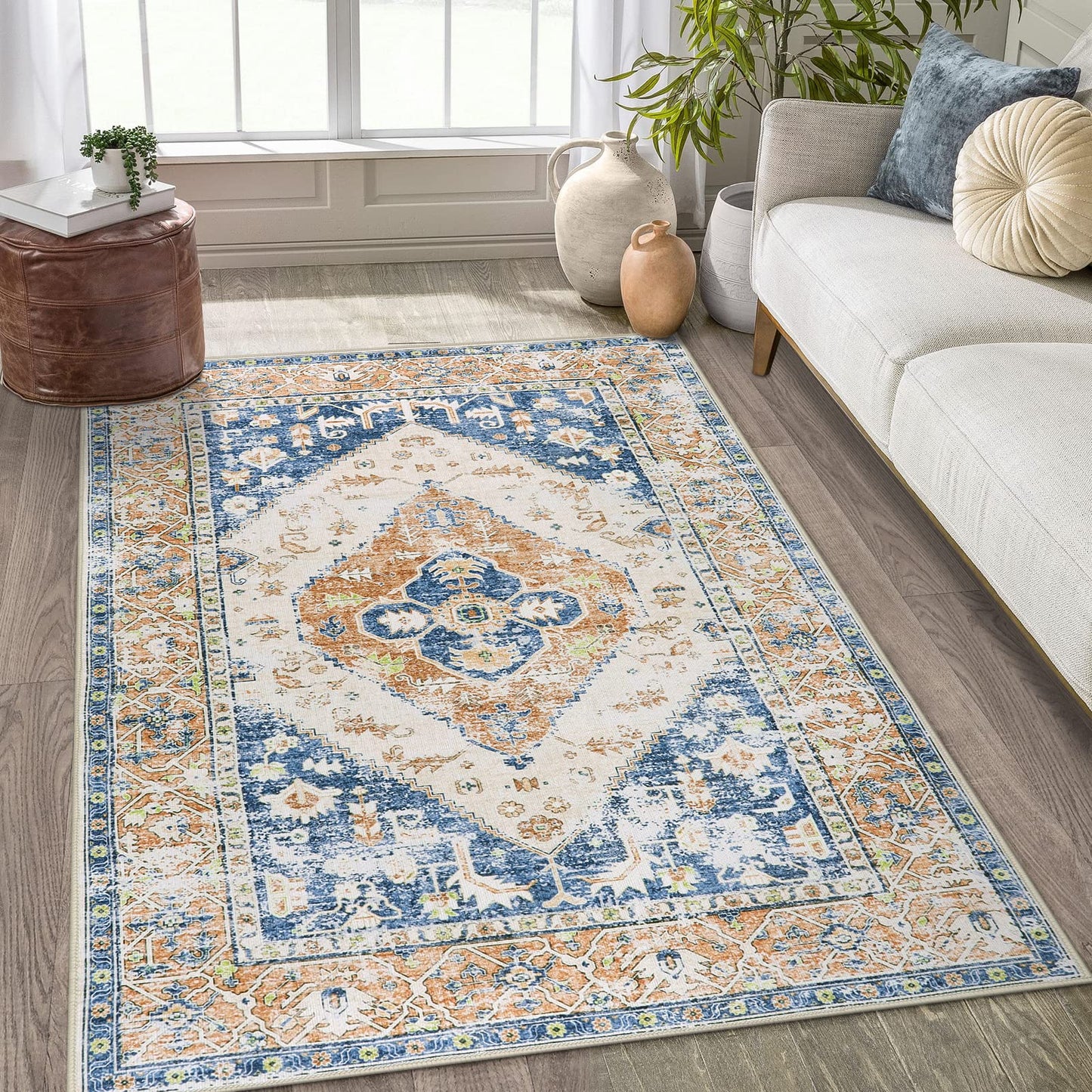 Lahome 9x12 Rug